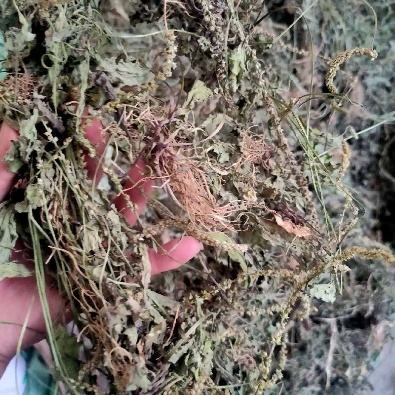 产品供应图