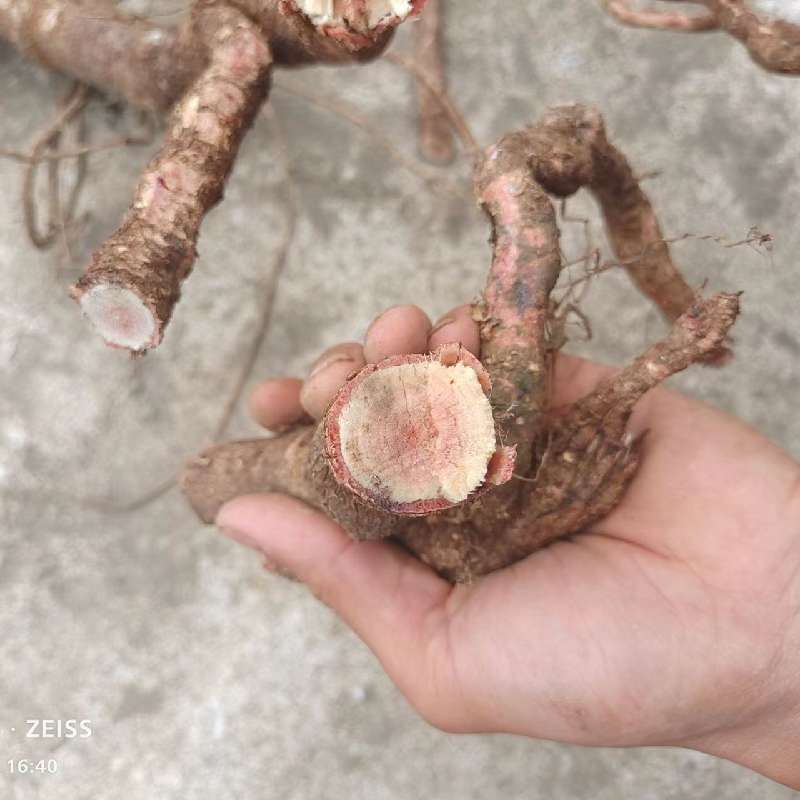 产品供应图