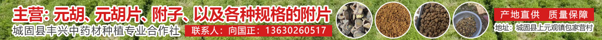 PC首页搜索结果顶部-延胡索