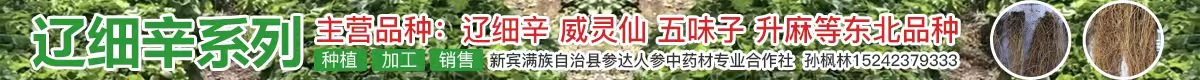 PC首頁搜索結果頂部-細辛