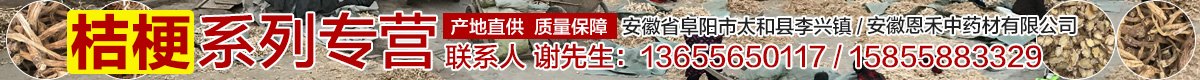 PC首页搜索顶部-桔梗