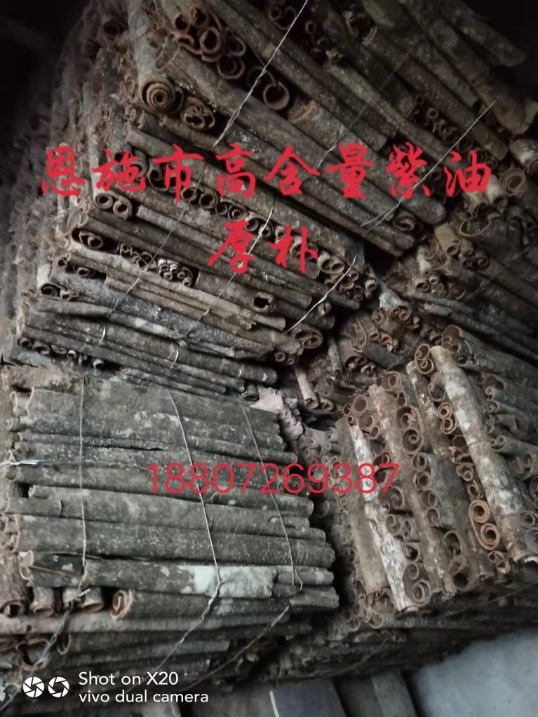 中药材