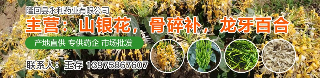 PC供求首页滚图-招标