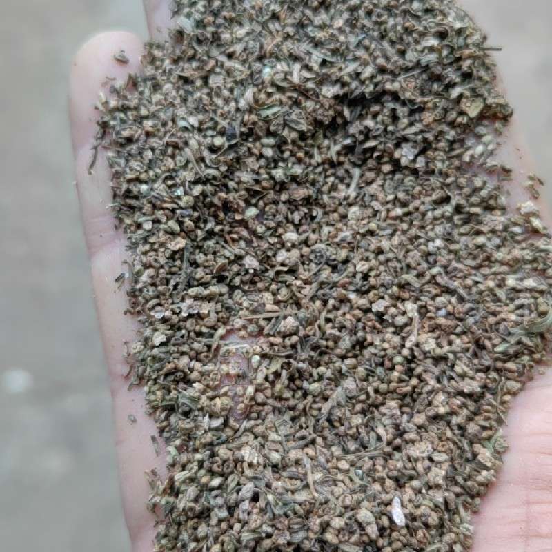中药材