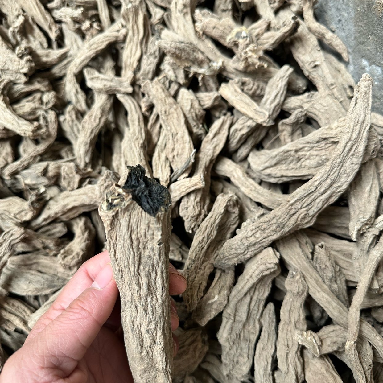 中药材