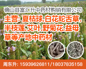 PC品种聚合页右侧-夏枯草