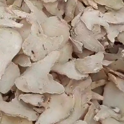 中药材