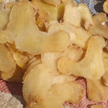 中药材