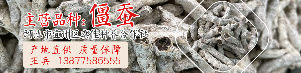 PC供求首頁-第三個