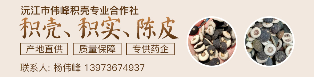 PC供求首頁-第二個