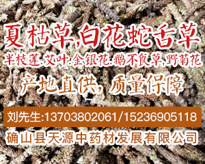 PC首页搜索结果-夏枯草