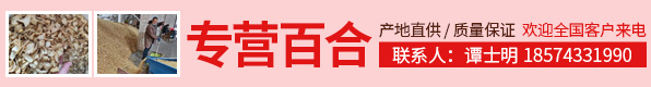 PC版-首頁-A4-招商