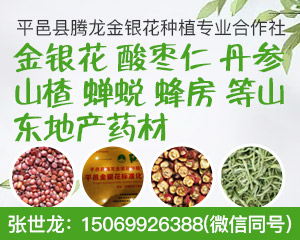 PC供应信息列表页右侧-酸枣仁