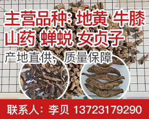 PC-品種聚合頁-地黃右側