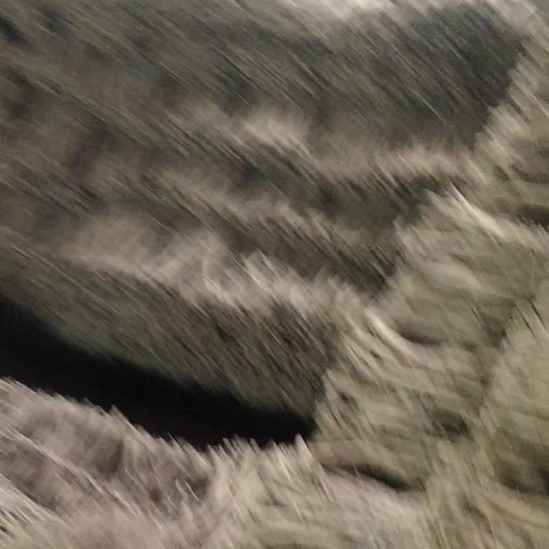 中药材