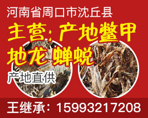 PC首页搜索结果-地龙