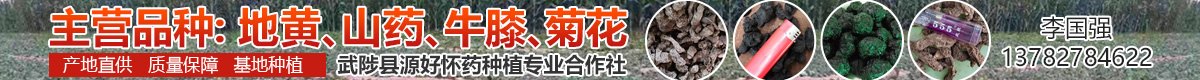 PC首頁搜索結果頂部-地黃