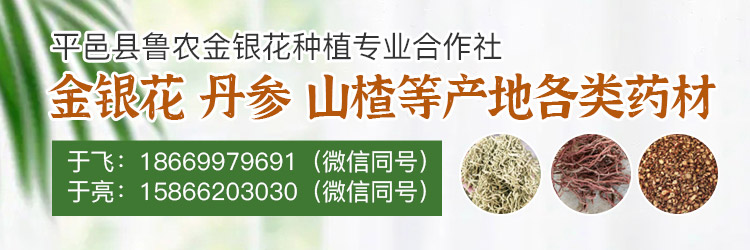 APP市场快讯第五个-于飞