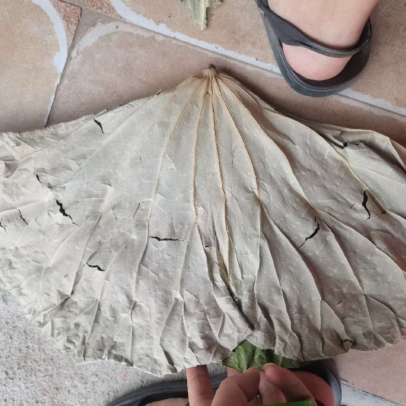 中药材
