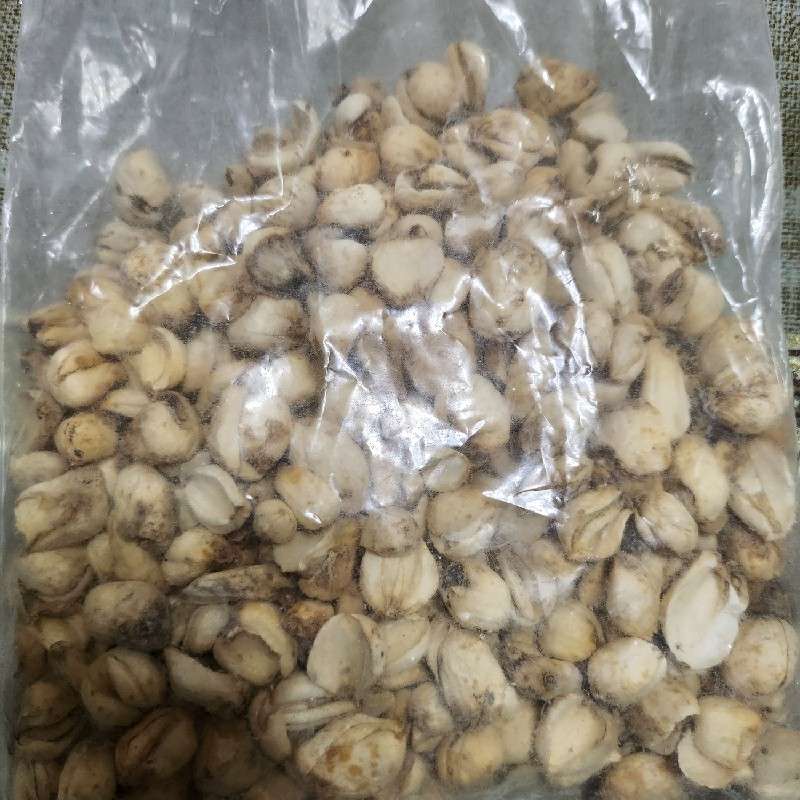 中药材