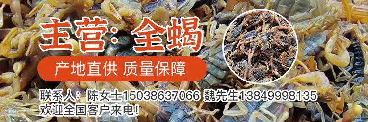 PC供求首頁-魏俊良