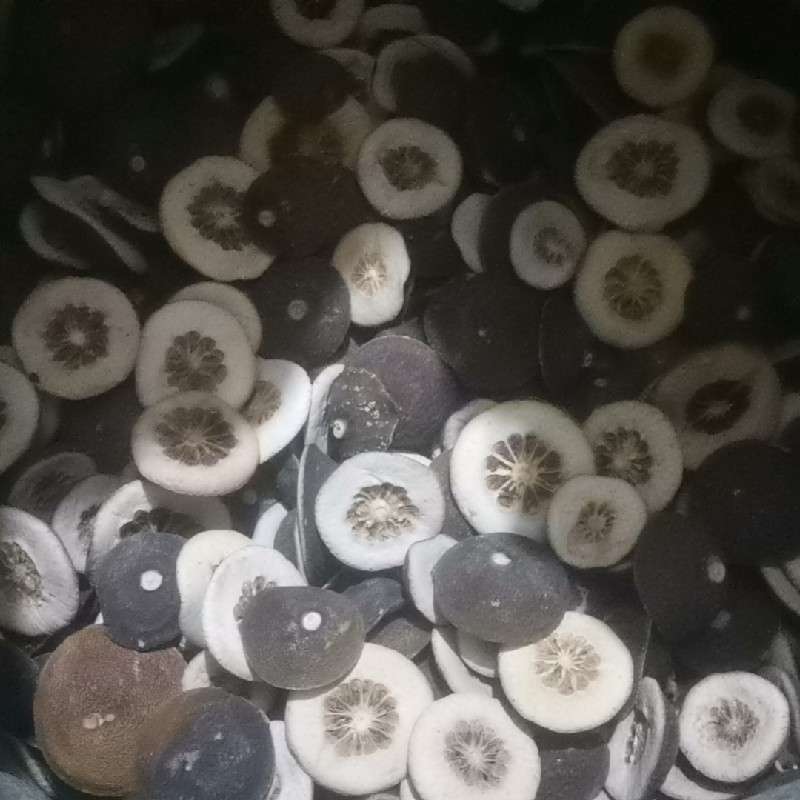 中药材