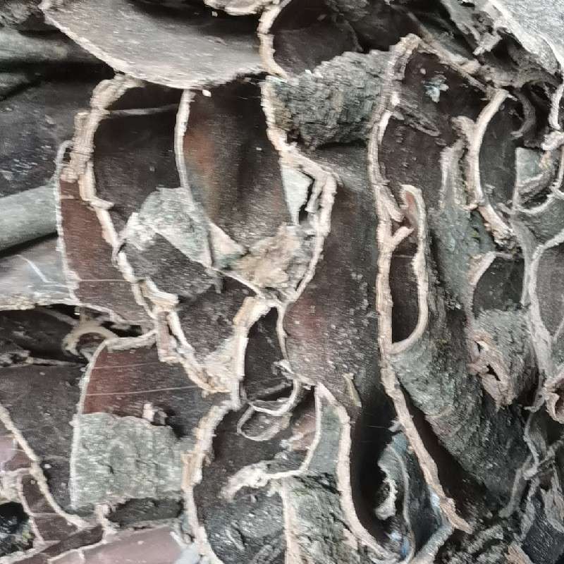 中药材