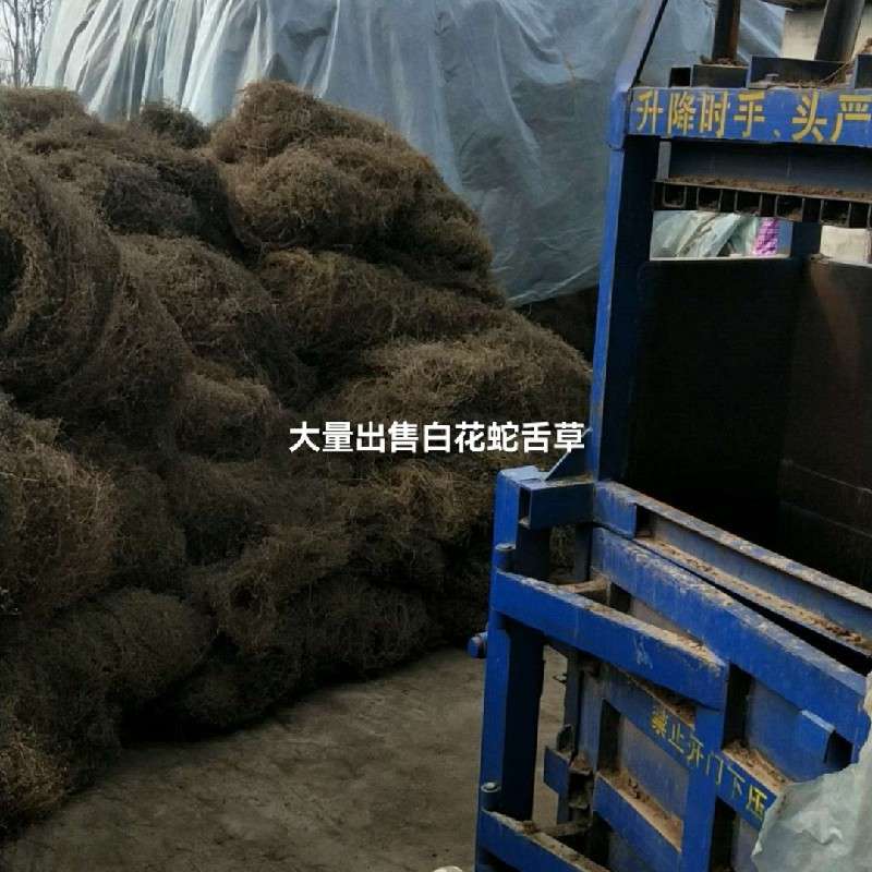 中药材