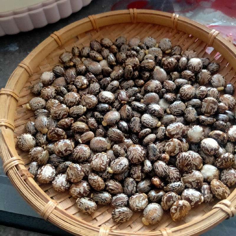 产品供应图