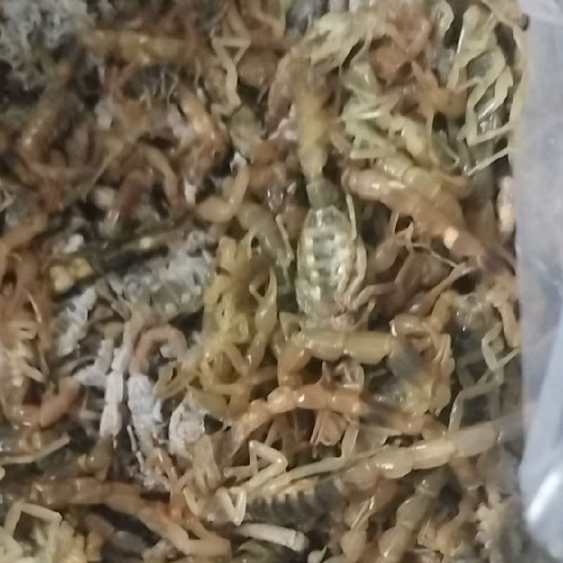 中药材