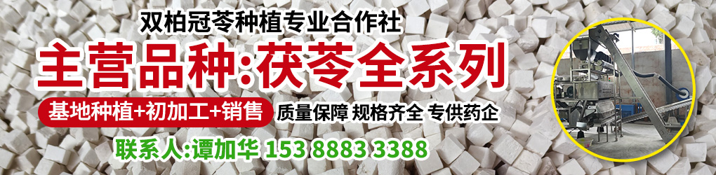 PC供求首页滚图-谭家华