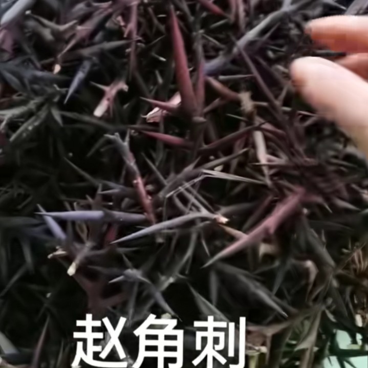 产品供应图