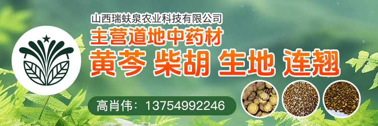 APP产地快讯详情页顶部-黄芩-高肖伟