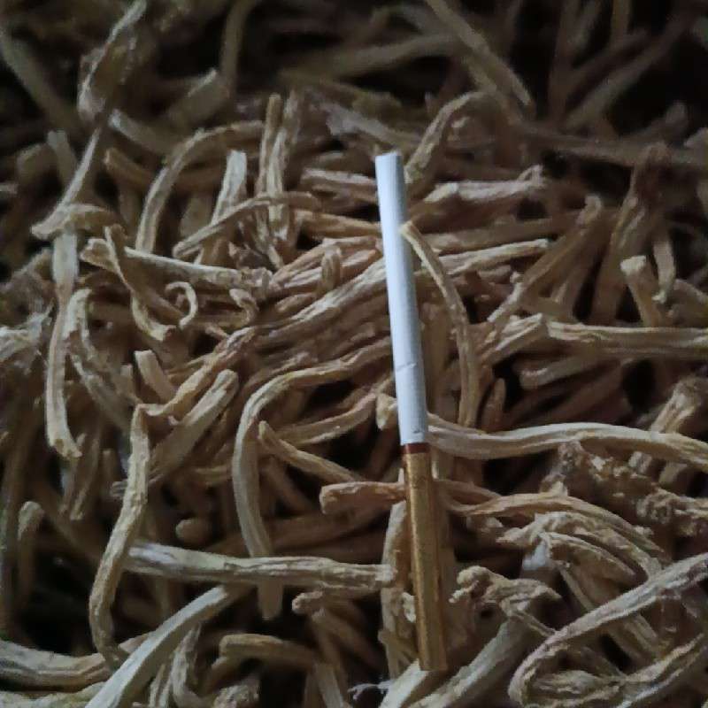 中药材