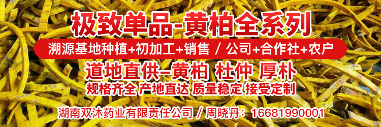 APP推广位顶部-百合-周晓丹
