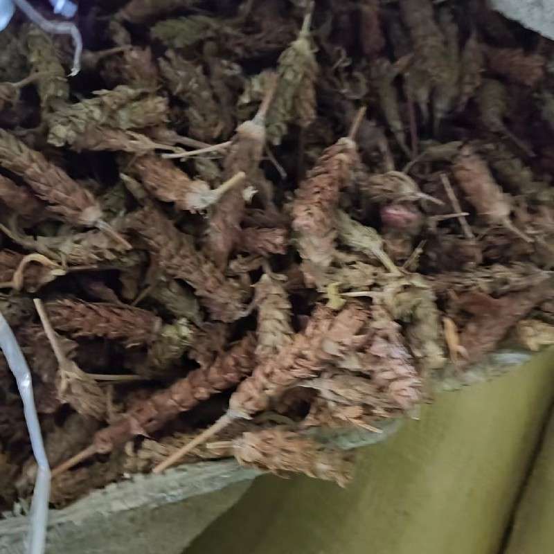 中药材