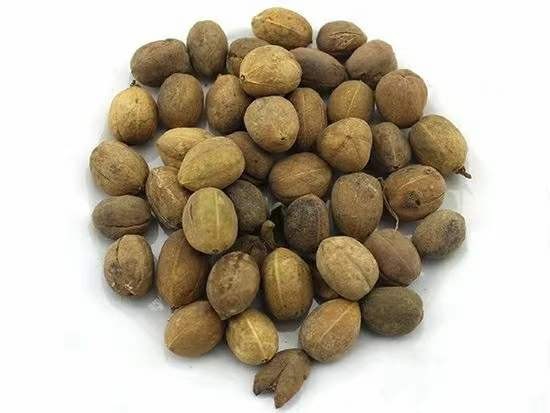 中药材