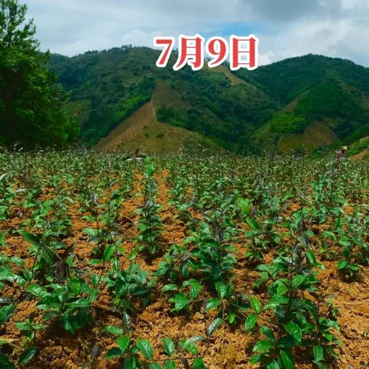 产品供应图