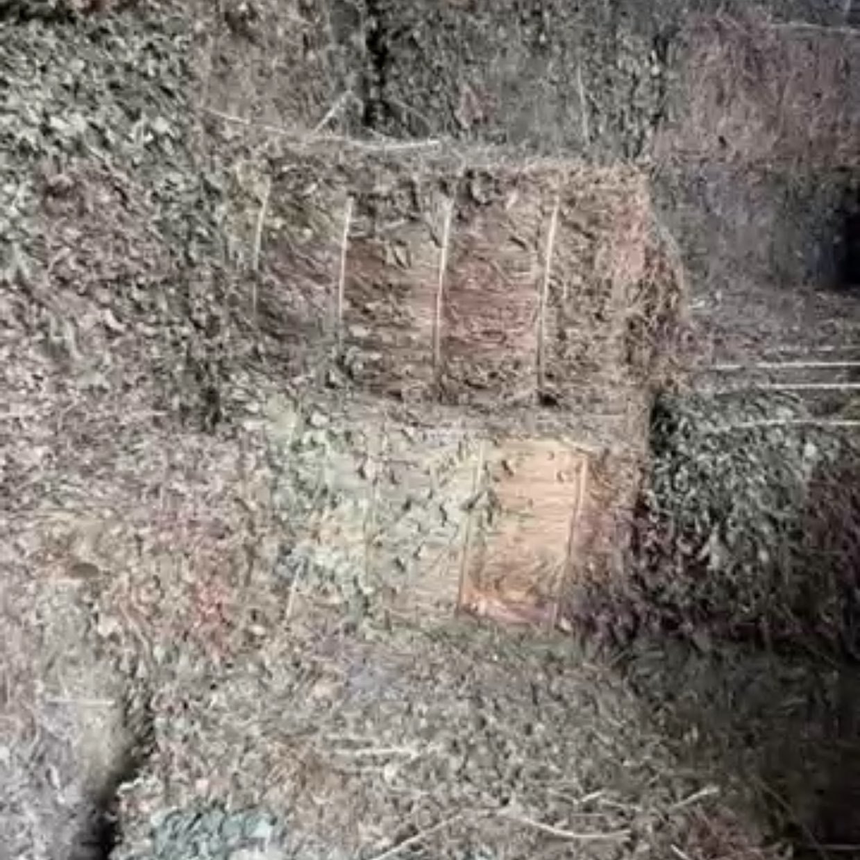 中药材