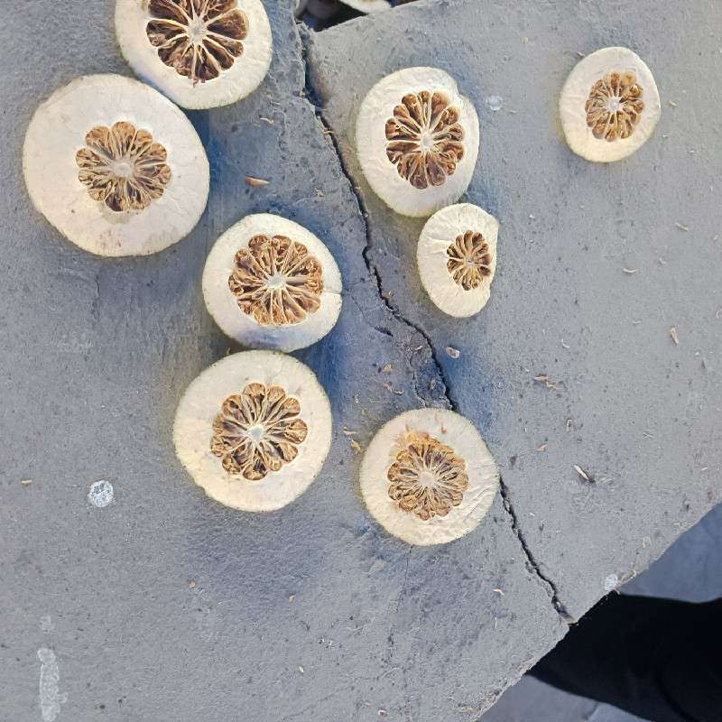中药材