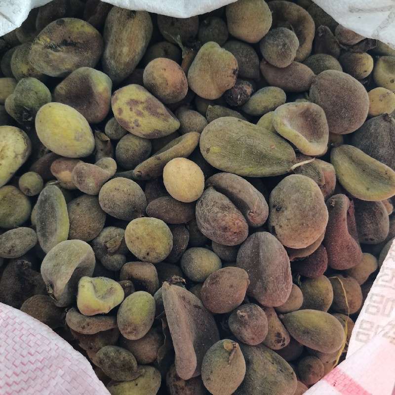 中药材