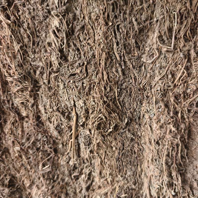 中药材