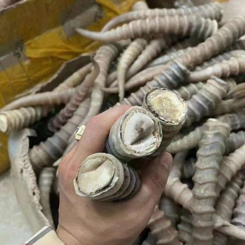 中药材