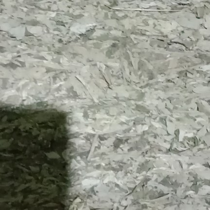 中药材