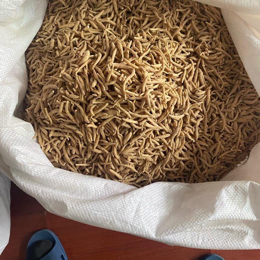 中药材