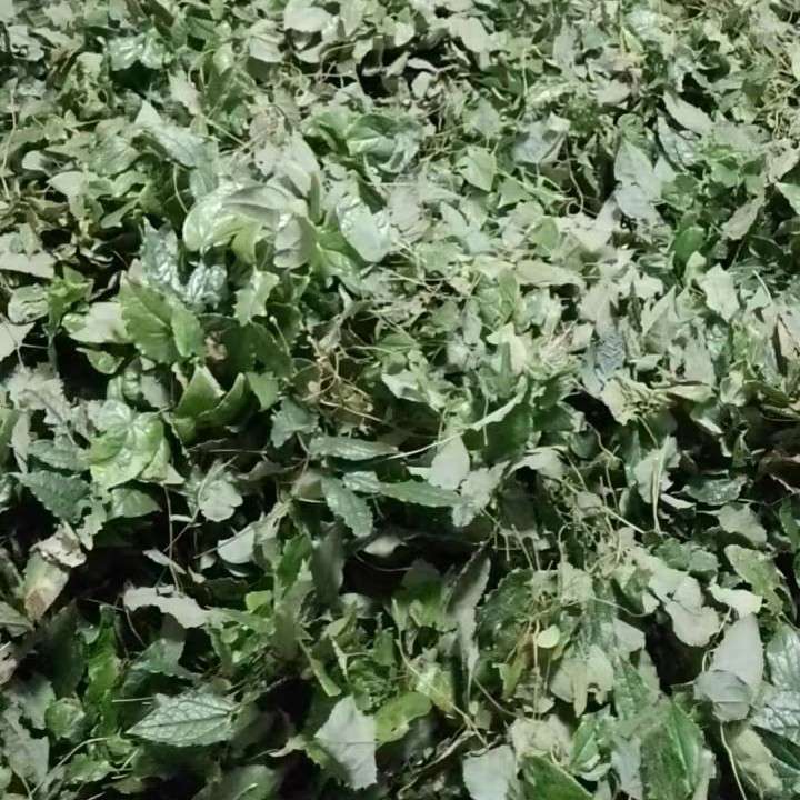 中药材