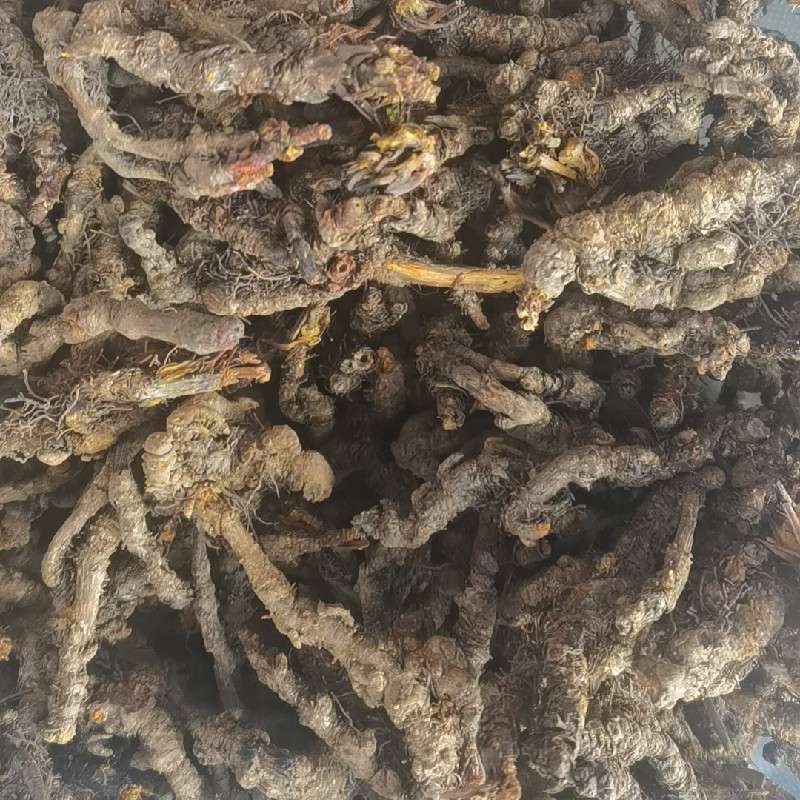 中药材