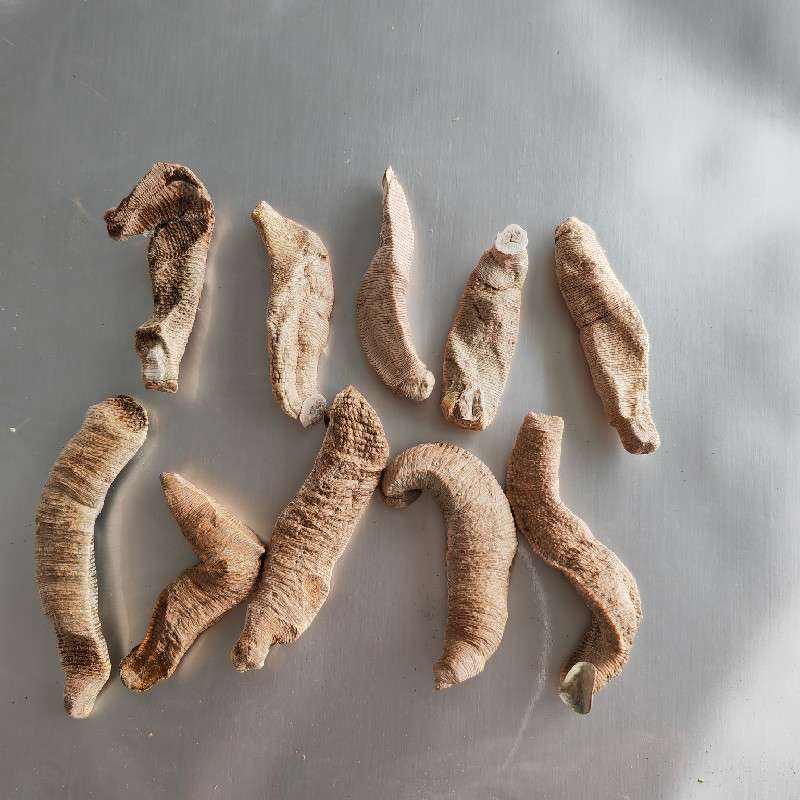 产品供应图