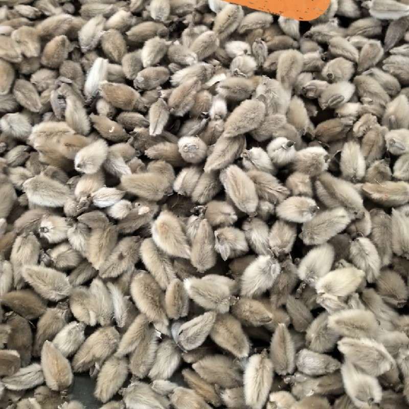 中药材