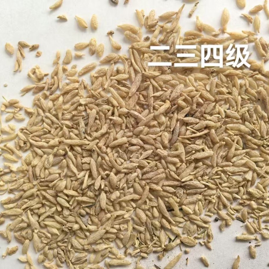 中药材